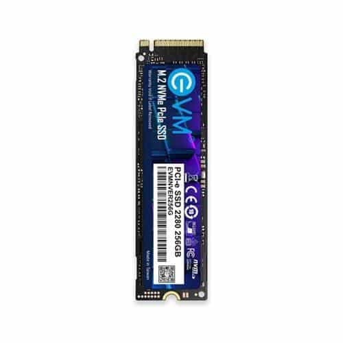 EVM 256GB M.2 NVMe
