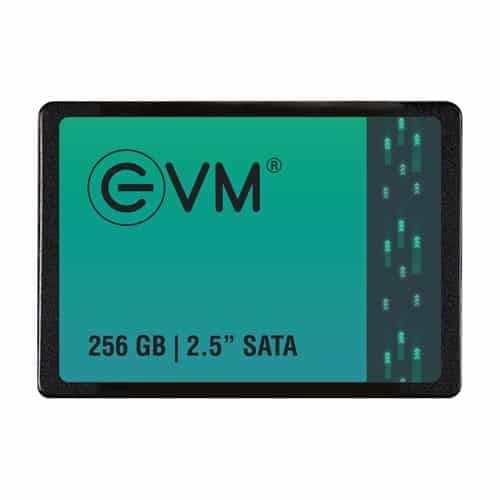 EVM 256GB SATA SSD